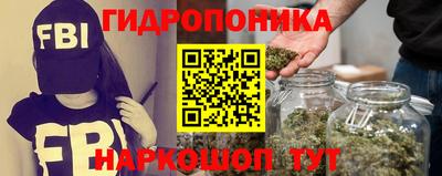 молекула духа Будённовск