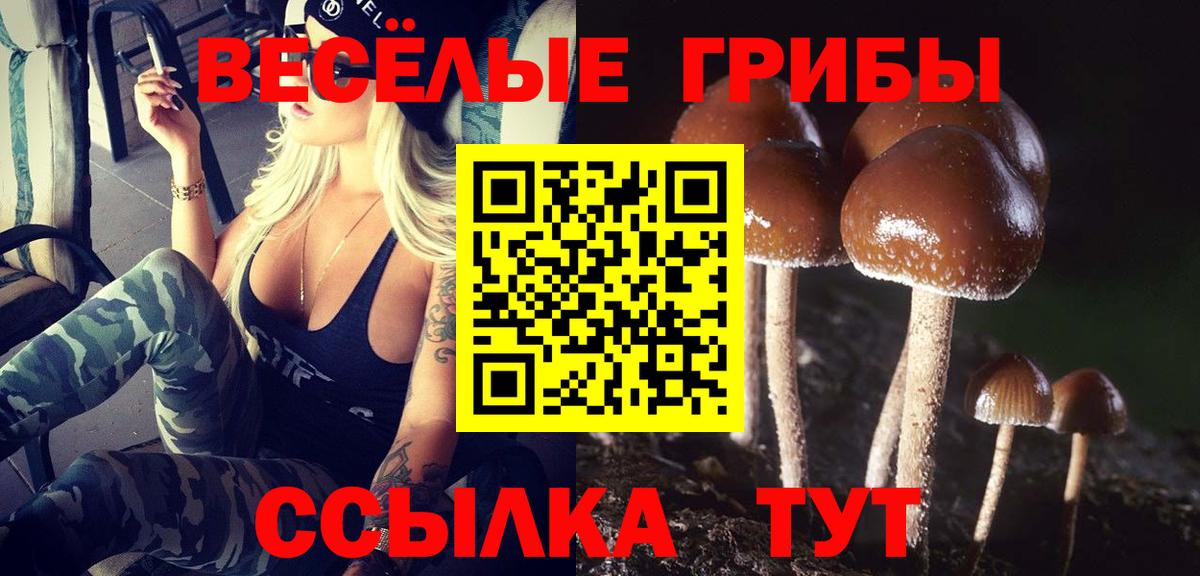 Реутов  Галлюциногенные грибы GOLDEN TEACHER  Вход с VPN 